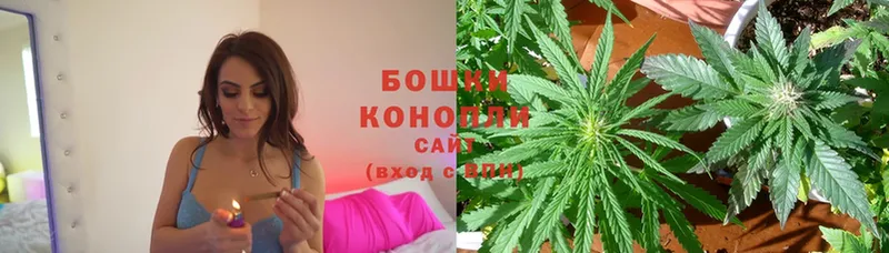 Конопля White Widow  дарнет шоп  Карабаново 